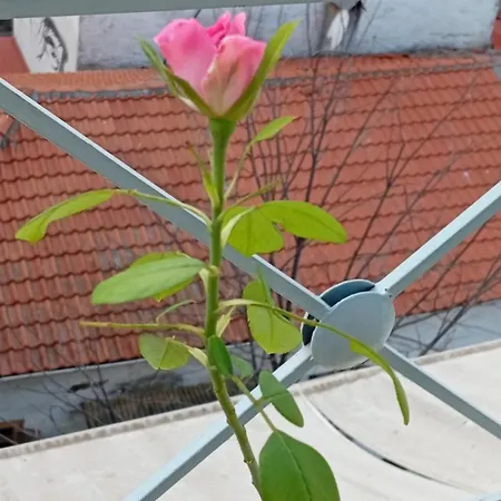 Chroma View 公寓 卡瓦拉