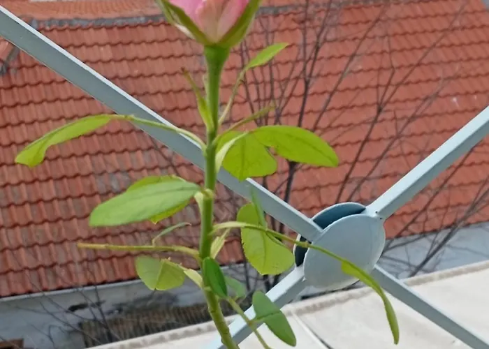 Chroma View Apartament Kavala